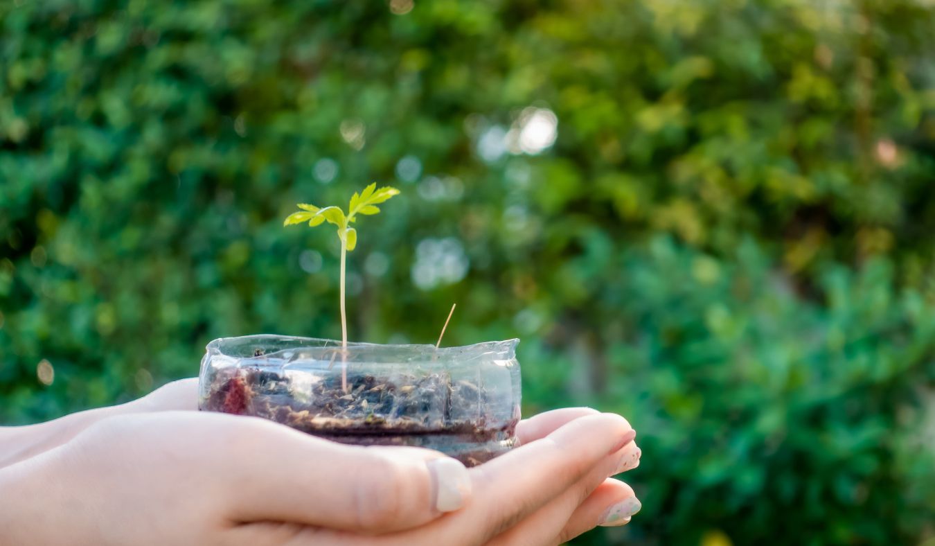 The Future of Plastic Packaging: Trends and Innovations
