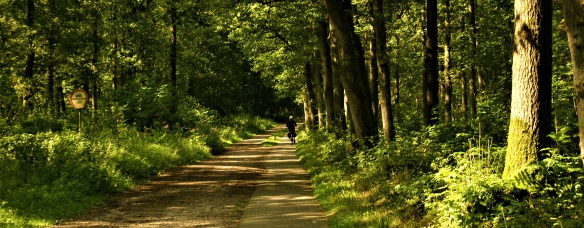 Penthouse Design: Architecture on Top of the World - ArchDaily - Luxury Eco-Friendly Penthouse Apartments With Massage Room